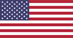 USA - New York flag